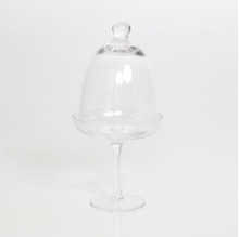 5” & 9” Clear Glass with Dome