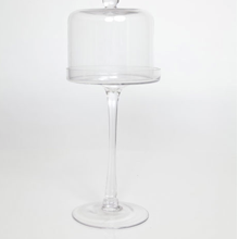 10” Clear Glass with Dome